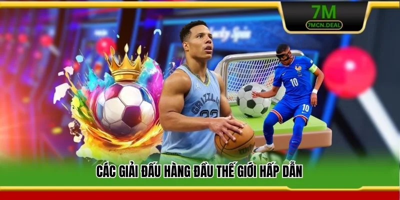 Các giải đấu hàng đầu thế giới hấp dẫn